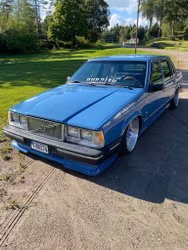 Dekal - Pundish framrutedekal