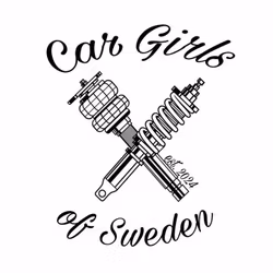 Dekal - Car Girls of Sweden #3