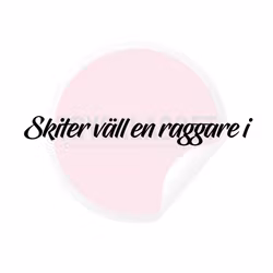 Dekal - Skiter väll en raggare i