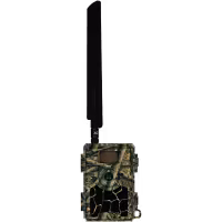 Hunter Alpha Cloud
