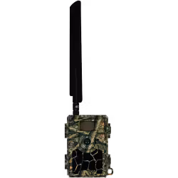 Hunter Alpha Cloud
