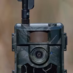 Hunter PIR Glas (Lins)