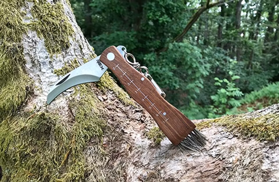 Svampkniv med borste