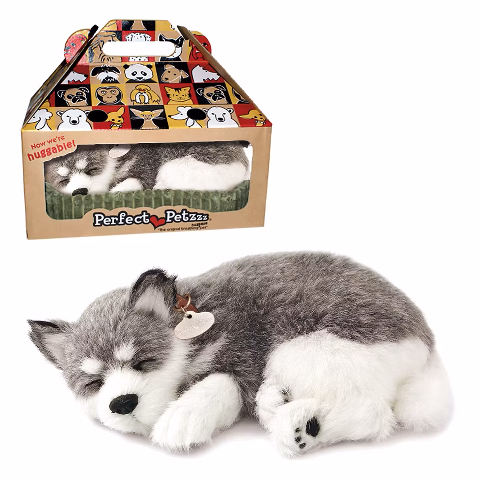 Alaska Husky – En Realistisk Sovande Valp