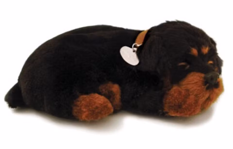 Rottweiler – En Realistisk Sovande Valp