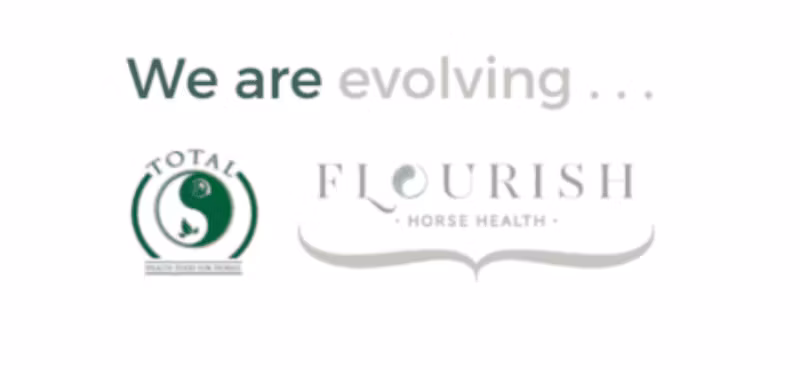 TOTAL Horse Feed Blir Flourish Horse Health