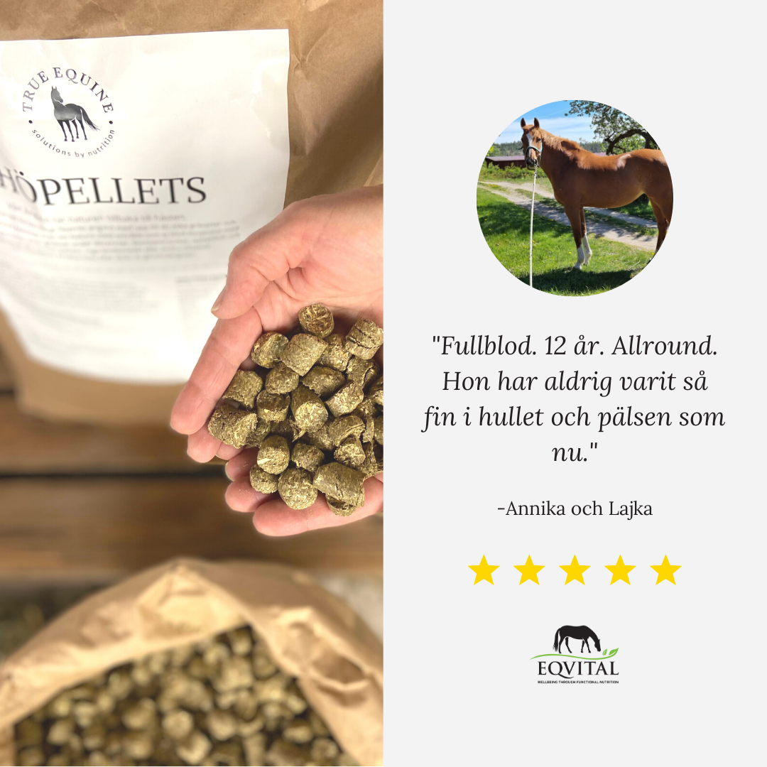 HÖPELLETS á 20kg, pall