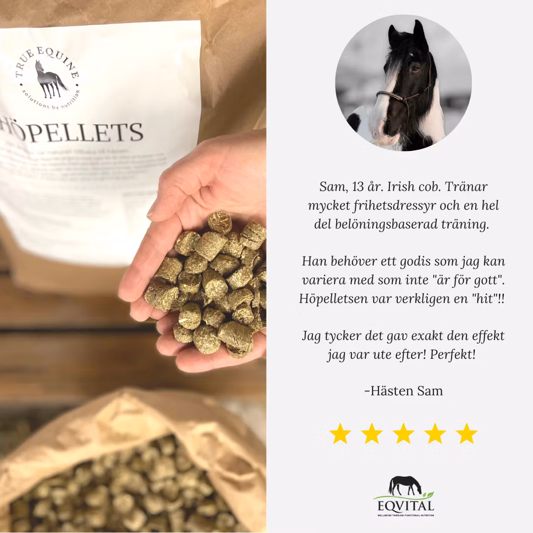 HÖPELLETS á 20kg, paket