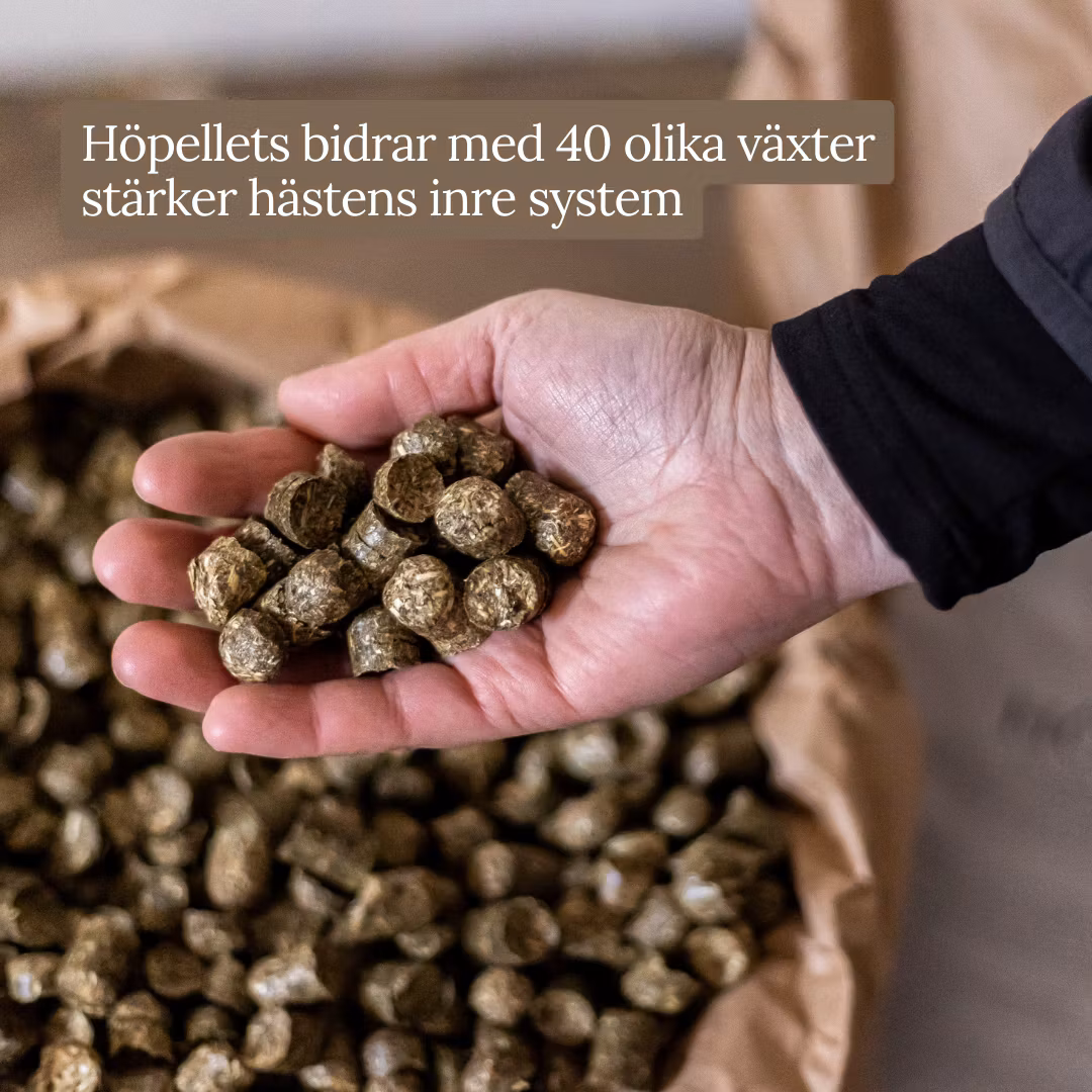 HÖPELLETS á 20kg, paket