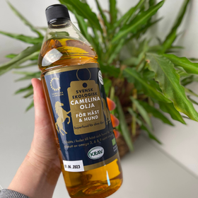 Camelinaolja - för Häst