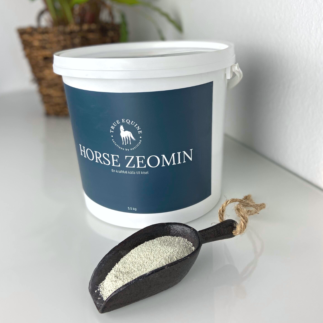 Eqvital Horse Zeomin Kisel för häst