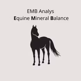 EMB Analys - Equine Mineral Balance