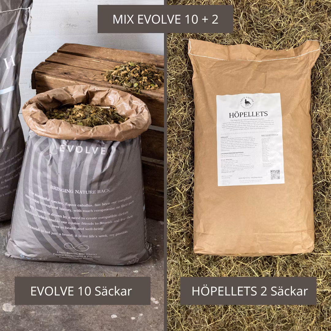 MIXPALL: Evolve 10st och Höpellets