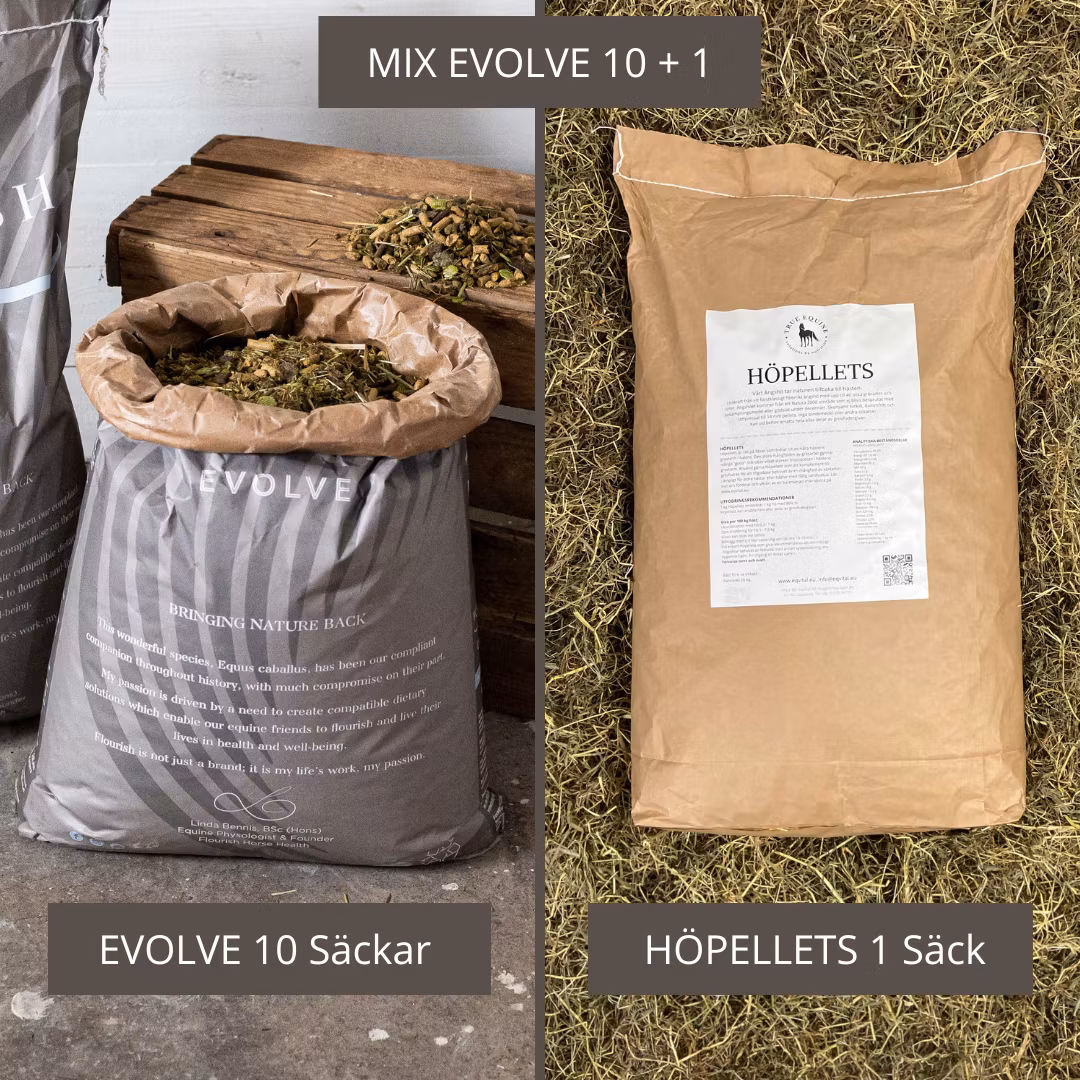 MIXPALL: Evolve 10st och Höpellets