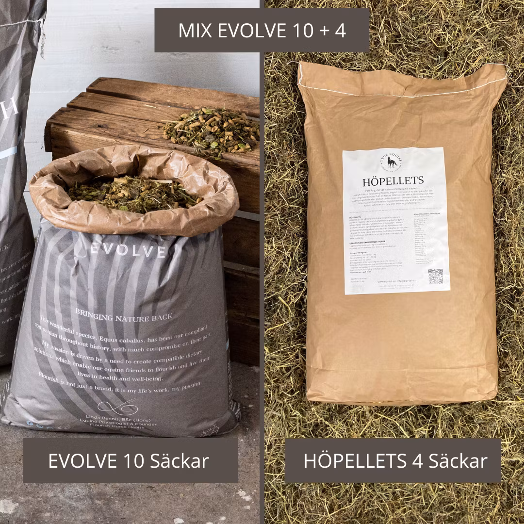 MIXPALL: Evolve 10st och Höpellets
