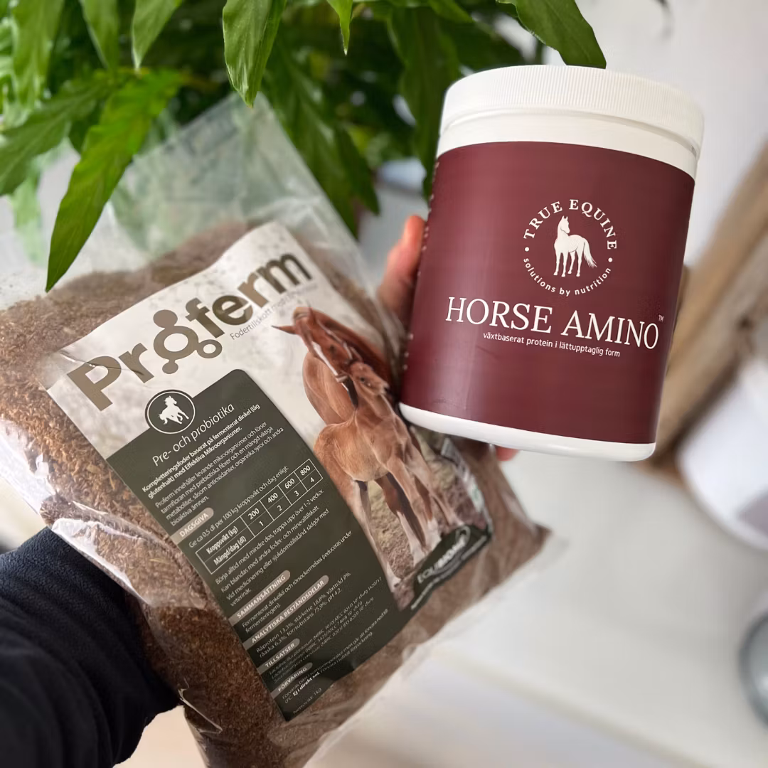 Paket: Horse Amino 900 gram och Proferm 5kg