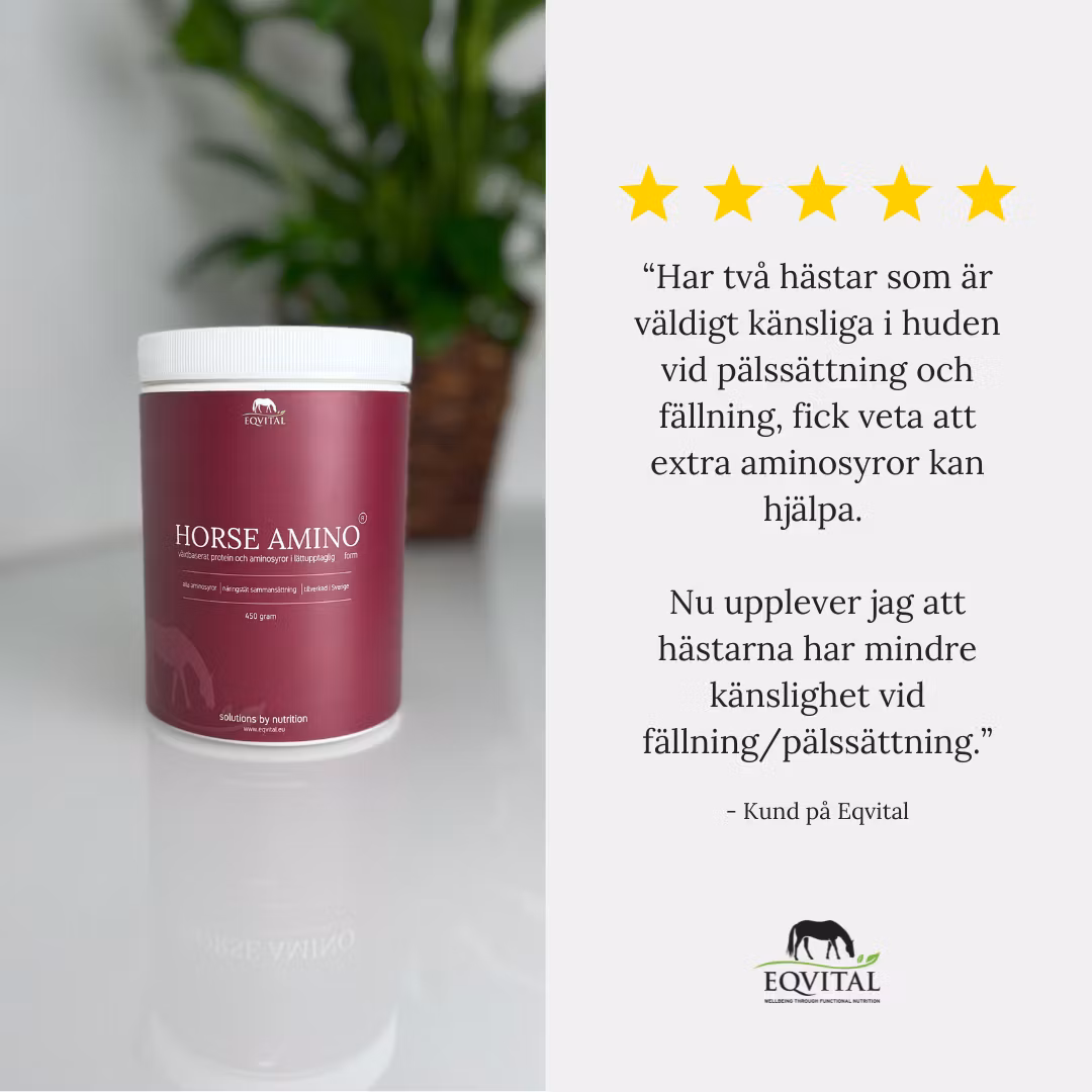 Horse Amino proteintillskott