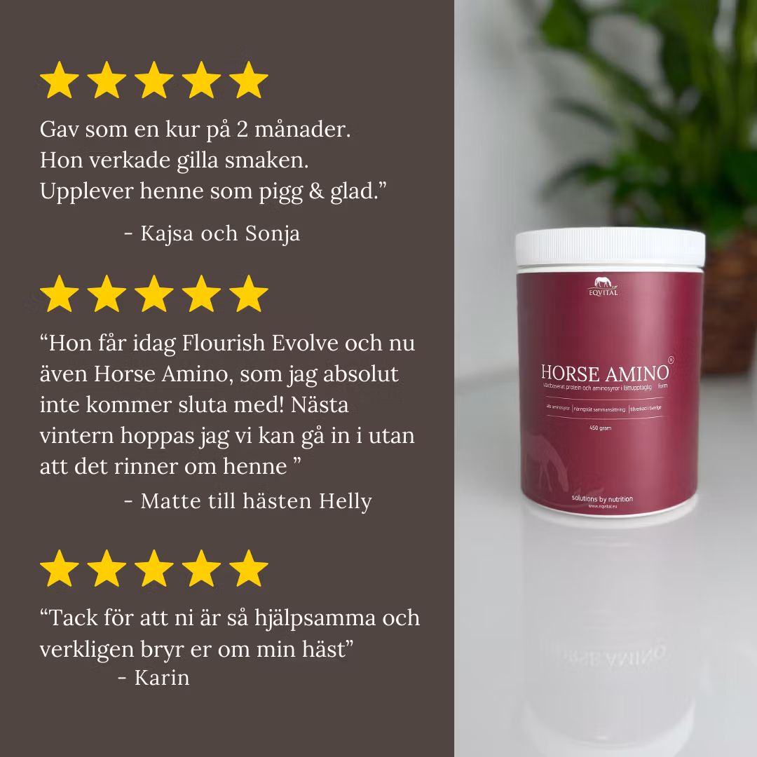 Horse Amino proteintillskott