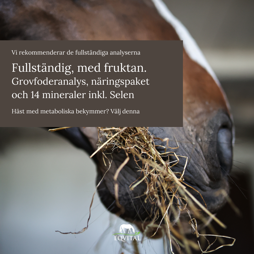 Grovfoderanalys. Näringspaket med fruktan och 14 mineraler inkl. Selen
