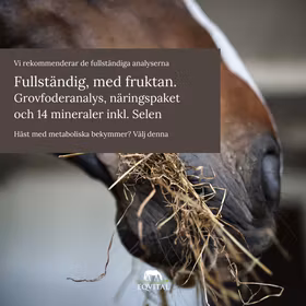 Grovfoderanalys. Näringspaket med fruktan och 14 mineraler inkl. Selen