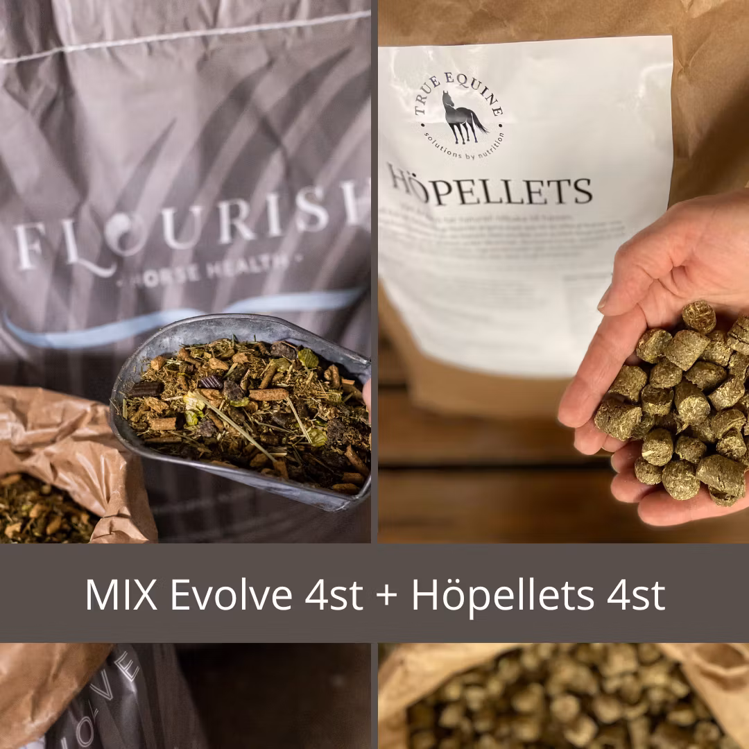 Mixpall: Evolve och Höpellets