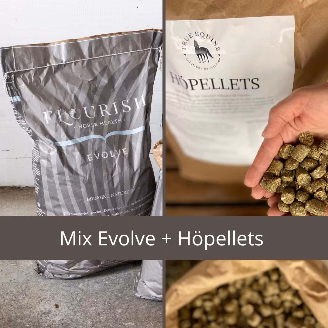 Mixpall: Evolve och Höpellets