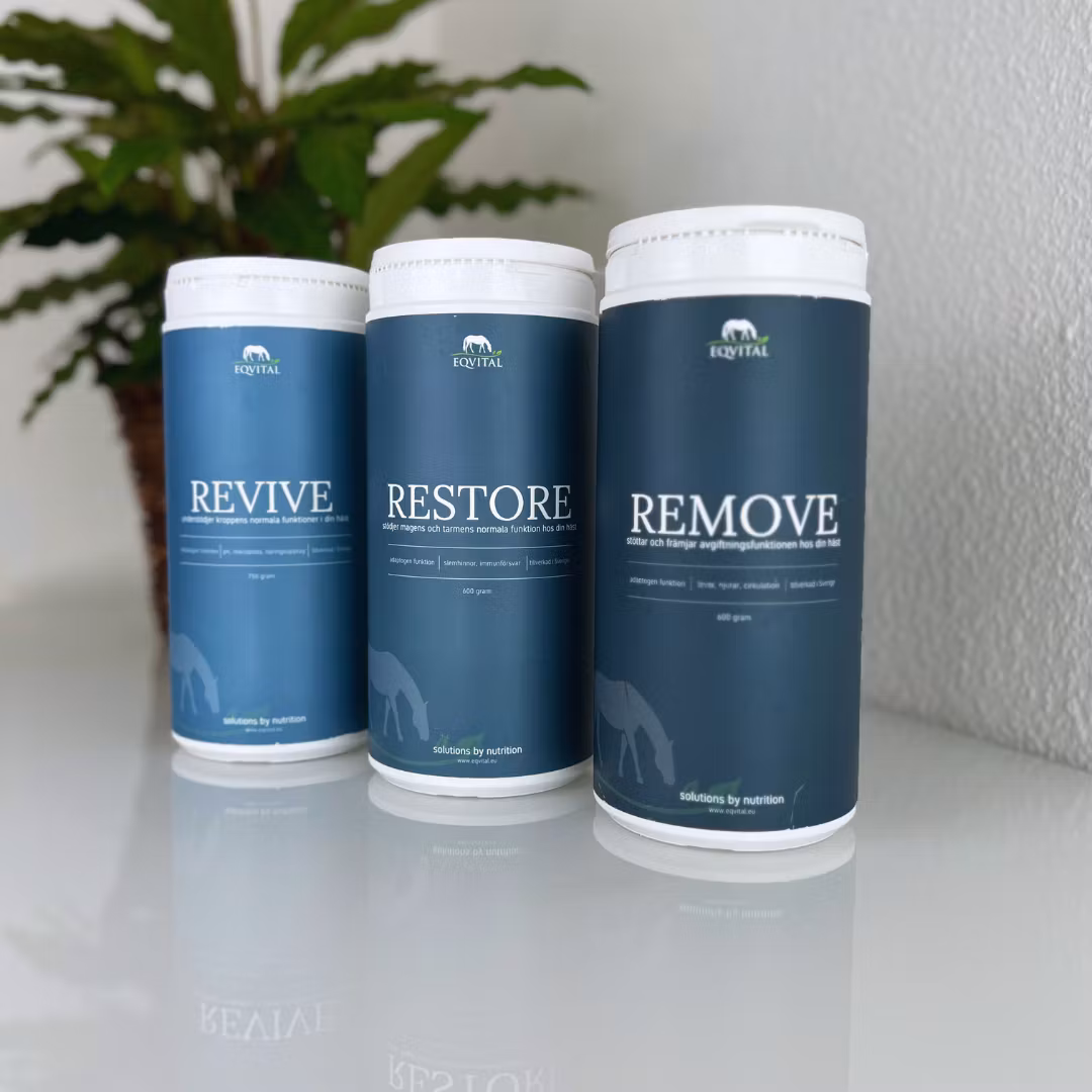 Let´s get Started; Remove, Restore, Revive