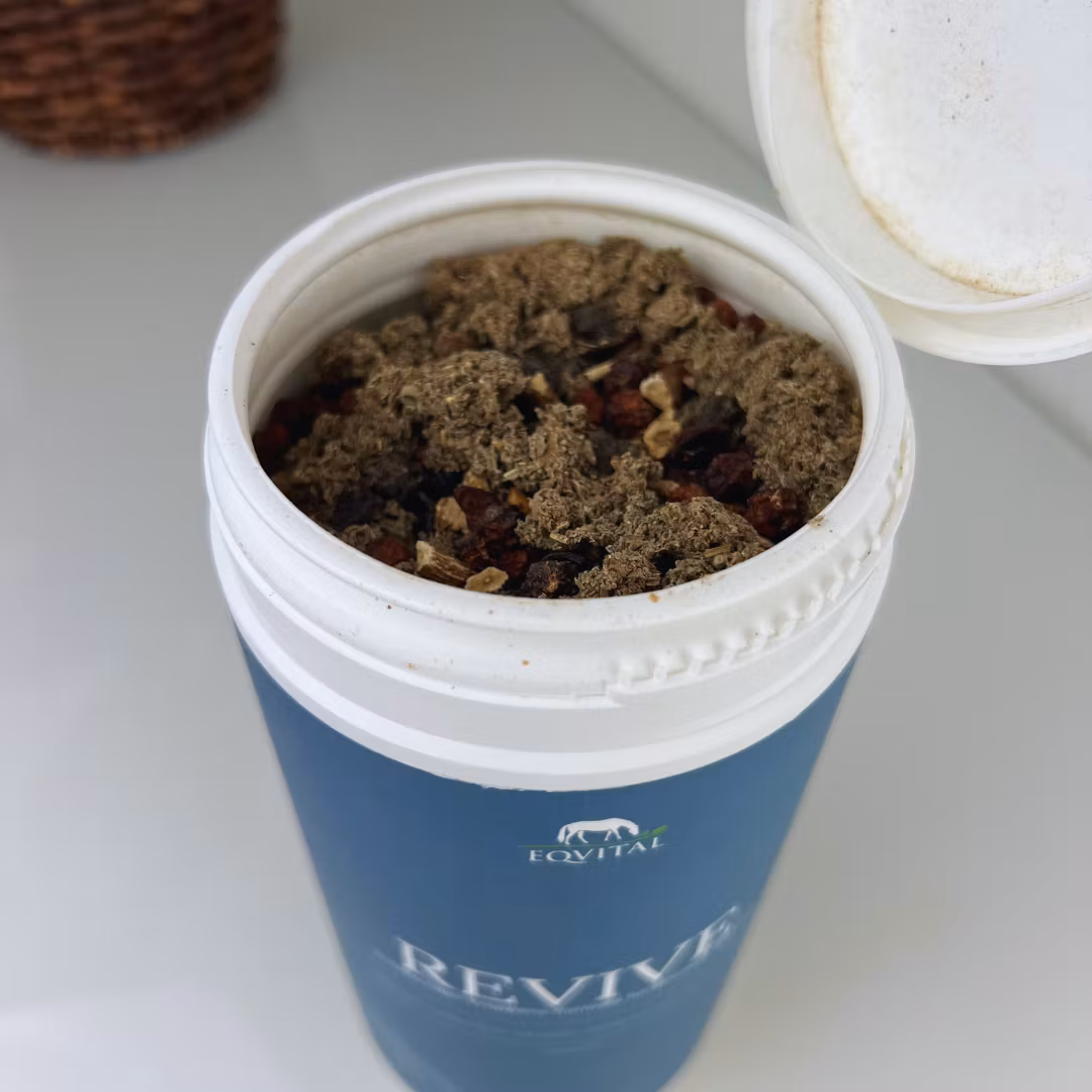 Revive,  Let´s Get Started 3, 750gr