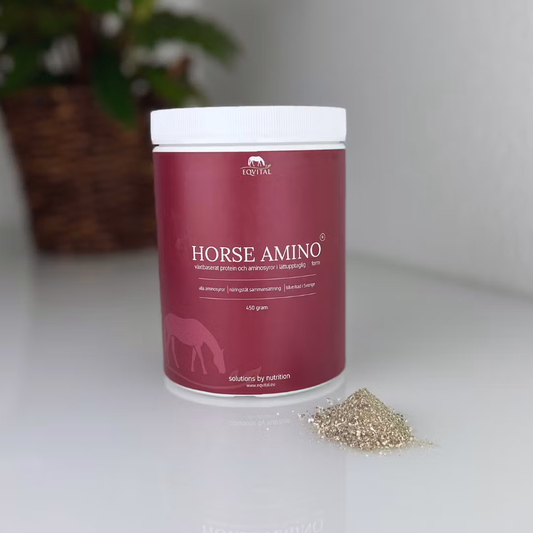 Horse Amino proteintillskott