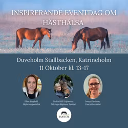 FYSISK EVENTDAG OM HÄSTHÄLSA, Katrineholm