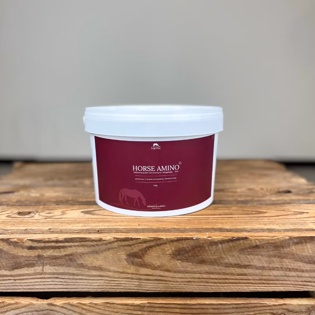 Horse Amino proteintillskott