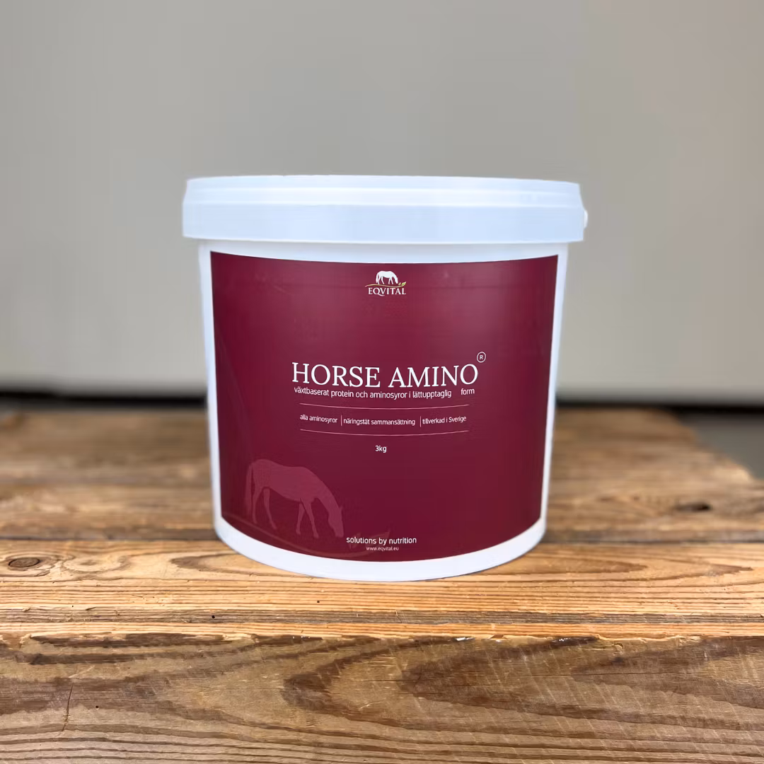 Horse Amino proteintillskott