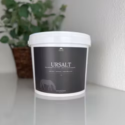 Ursalt