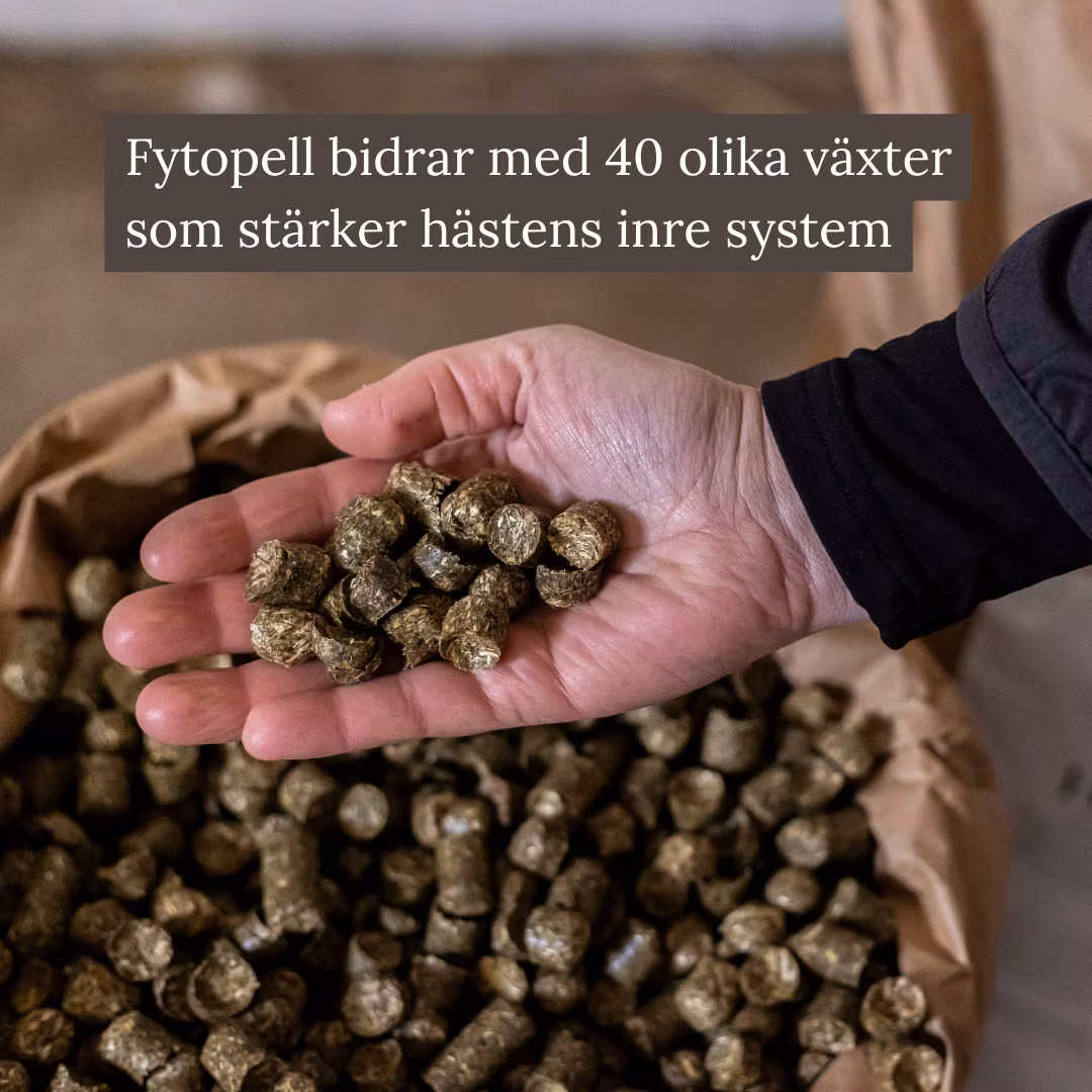 Eqvitals Fytopell (fd. Höpellets) 20kg