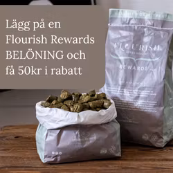 Flourish Rewards, 2kg/påse Kampanj