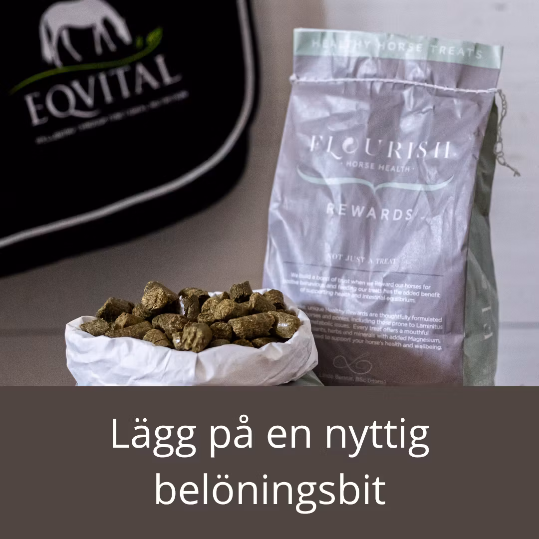 MIXA SJÄLV PALL