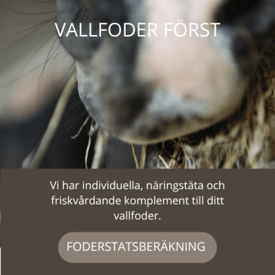 EQVITAL