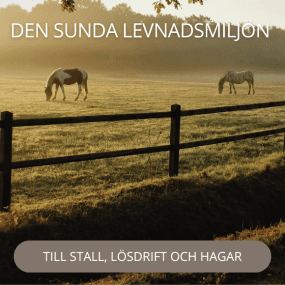 EQVITAL