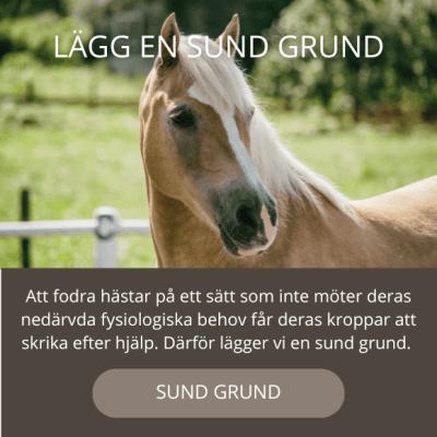 EQVITAL