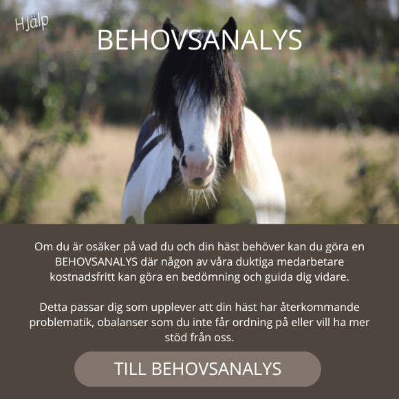 EQVITAL