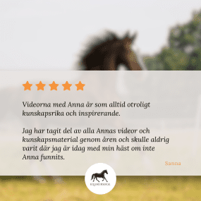 EQVITAL