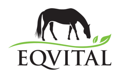 EQVITAL