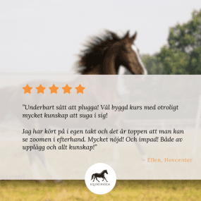EQVITAL