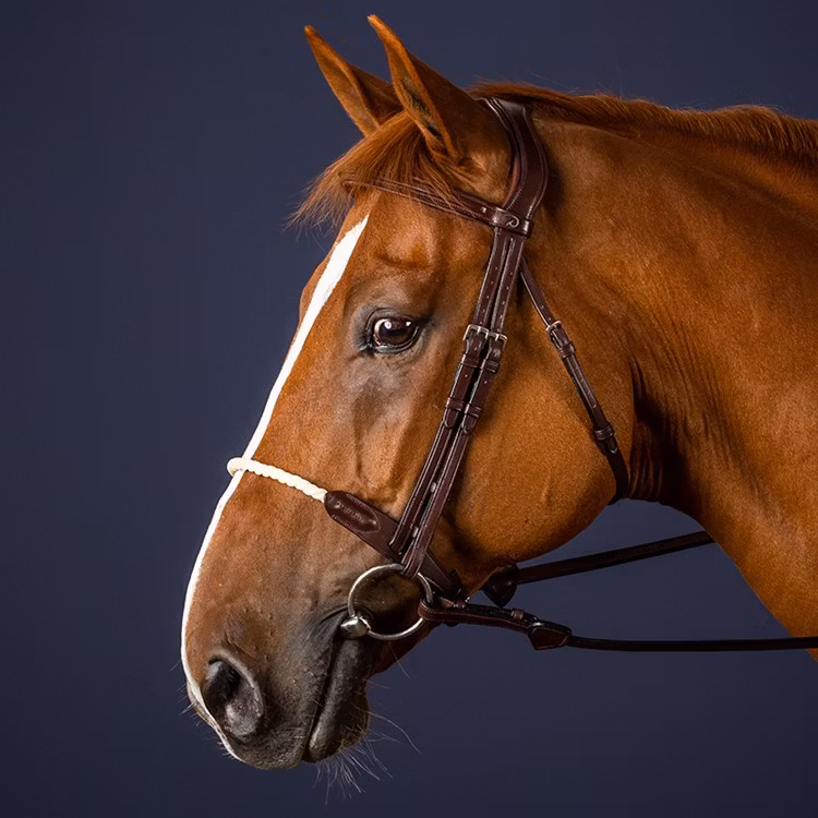 Dyon Träns repnosgrimma N