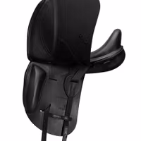 Prestige Brillante D S-kloss