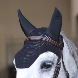 Kentucky Wellington Huva