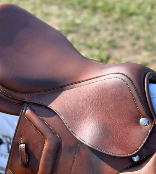 Renaissance F1 D LTPM 16/34 SC