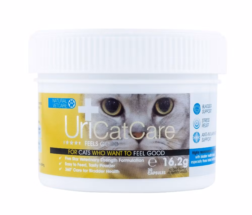 NVC URI CATCARE, PULVER