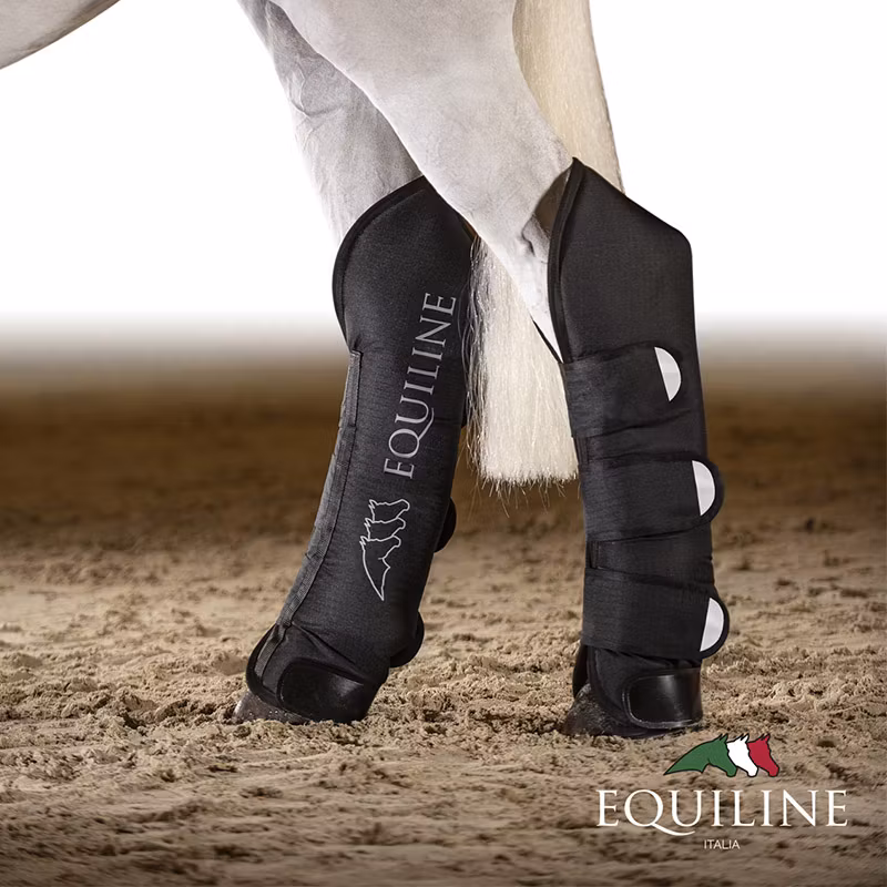 Equiline Rex transportskydd