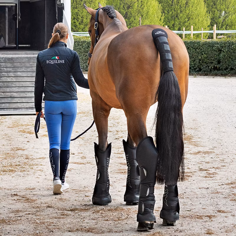 Equiline Rex transportskydd